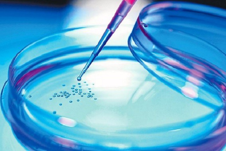 Staminali ricostruiscono tessuti danneggiati della bocca: ecco lo studio